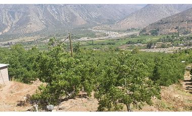 Parcela 10 Há Producción Nogales Pecanas Coirón Salamanca