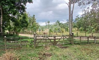 finca en venta en corregimiento-currulao. Cod V62861