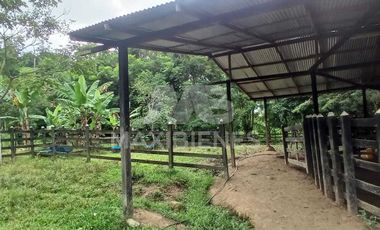 finca en venta en corregimiento-currulao. Cod V62861