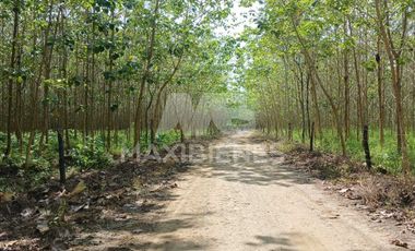 finca en venta en corregimiento-currulao. Cod V62861