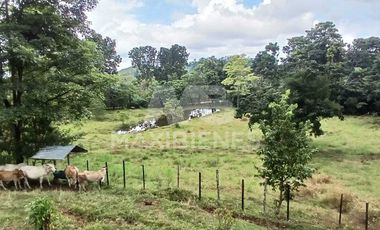 finca en venta en corregimiento-currulao. Cod V62861