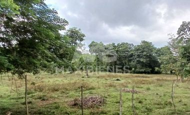 finca en venta en corregimiento-currulao. Cod V62861