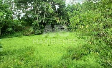 finca en venta en corregimiento-currulao. Cod V62861