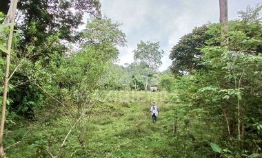 finca en venta en corregimiento-currulao. Cod V62861