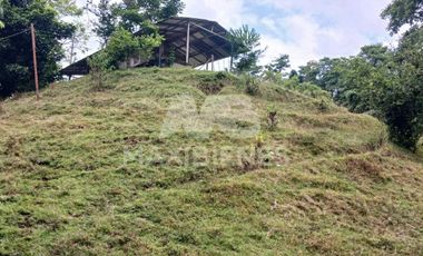 finca en venta en corregimiento-currulao. Cod V62861