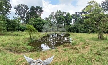 finca en venta en corregimiento-currulao. Cod V62861