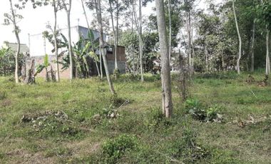 tanah pekarangan daerah Pakis Asrikaton,Malang