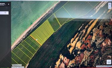 Terrenos Frente al Mar en Venta en Celestún