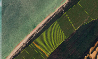 Terrenos Frente al Mar en Venta en Celestún