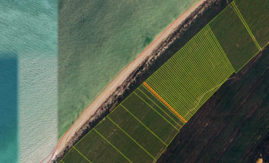 Terrenos Frente al Mar en Venta en Celestún