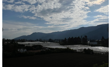 GUAYMARAL, APARTAMENTO SENIOR SUITE EN VENTA