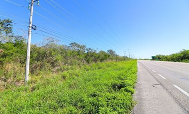 Terreno en venta de 10 hectáreas sobre carretera Motul - Mérida.