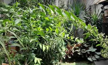 Rumah Bagus Siap Pakai di Tatar Wangsakerta, Kota Baru Parahyangan