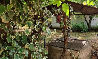 Sitio en Venta en San Carlos Puren - Retén Carabineros