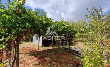 Sitio en Venta en San Carlos Puren - Retén Carabineros