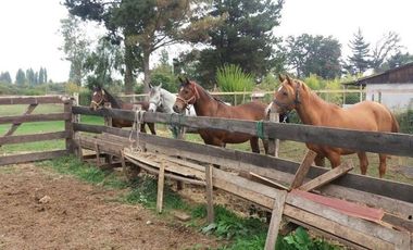 Parcela en Venta en Minutos de Linares