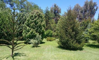 Parcela en Venta en Minutos de Linares