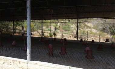 finca en venta en tocaima. Cod V9014321