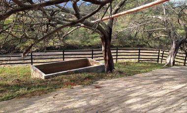 finca en venta en tocaima. Cod V9014321