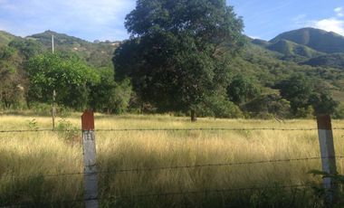 finca en venta en tocaima. Cod V9014321