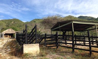 finca en venta en tocaima. Cod V9014321