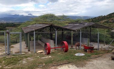 finca en venta en tocaima. Cod V9014321