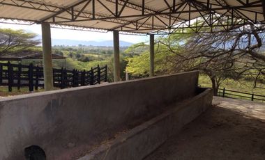 finca en venta en tocaima. Cod V9014321