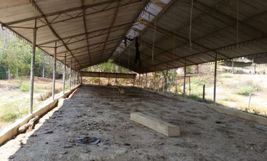 finca en venta en tocaima. Cod V9014321