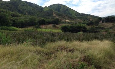 finca en venta en tocaima. Cod V9014321