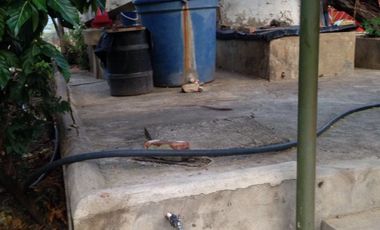 finca en venta en tocaima. Cod V9014321