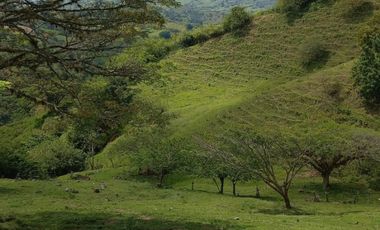 finca en venta en obando. Cod V15709