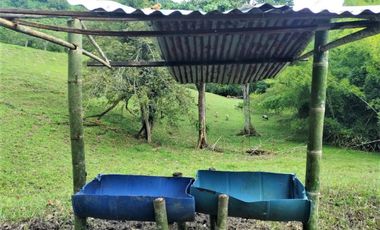 finca en venta en obando. Cod V15709