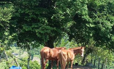 finca en venta en obando. Cod V15709