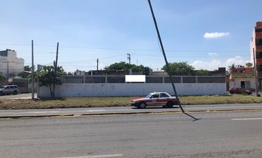 terreno en renta en veracruz av principal | arlette flores