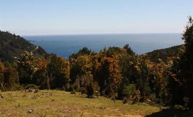 Parcela en venta en Purranque