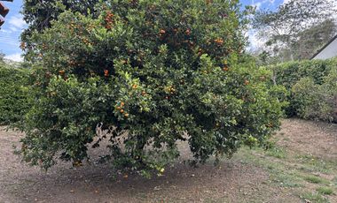 casa condominio en arriendo/venta en el balsal. Cod A1125002