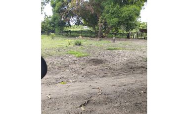 VENTA DE FINCA EN POLONUEVO
