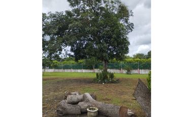 VENTA DE FINCA EN POLONUEVO