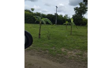 VENTA DE FINCA EN POLONUEVO