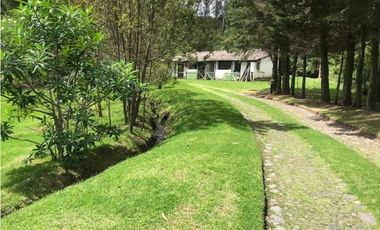 ARRIENDO PIFO QUINTA 4543 M2- 3 DORMITORIOS CONJUNTO PRIVADO SEGURIDAD