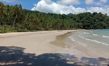FOR SALE - Beachfront in Puerto Princesa, Palawan
