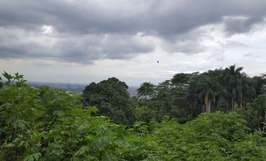 Tanah Cocok untuk Pariwisata atau Perumahan di Bojong Koneng