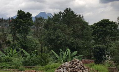Tanah Cocok untuk Pariwisata atau Perumahan di Bojong Koneng