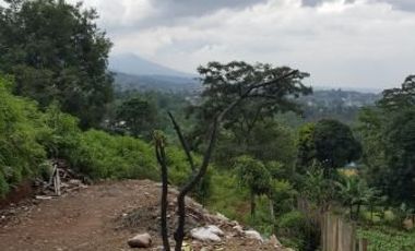 Tanah Cocok untuk Pariwisata atau Perumahan di Bojong Koneng