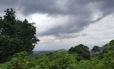 Tanah Cocok untuk Pariwisata atau Perumahan di Bojong Koneng