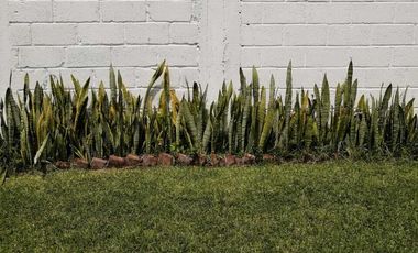 TERRENO EN VENTA, A 5 MIN. DE CUAUTLA MORELOS.