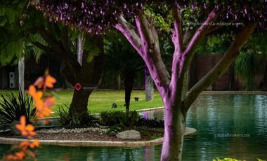 Propiedad para Inversión Salón de Eventos san Isidro Mazatepec Zona Sur Galerías