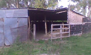 Campo de 10 Has. en La Carolina, Ing. Allan, Fcio. Varela