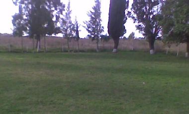 Campo de 10 Has. en La Carolina, Ing. Allan, Fcio. Varela