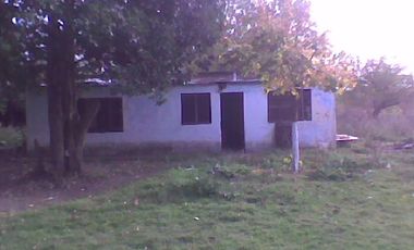 Campo de 10 Has. en La Carolina, Ing. Allan, Fcio. Varela